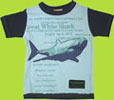 CR Sport Clothing by Globatex