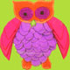 Owl Hoot Hoot