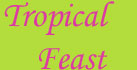 Tropical Feast embroidered kids sun dresses