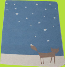 david fussenegger baby blanket