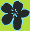 Hawaiian Flower