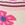 Jefferies Socks Ivory Girls Flower Basket Tights