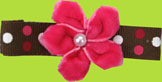 Childrens Brown Polka Dot w/Fuchsia Velv Flower Alligator Clip  