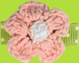 Green Polka Dot with Pink Crochet Flower Snap Children's Clip