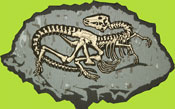 Fossil Screen Print