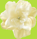 No Slippy Hair Clippy Cream Makenzie Rhinestone and Beads Passion Flower
