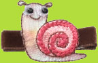 Layla Snail Hair Clip