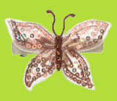 Meredith Cream Sequin Butterfly 12 years and up