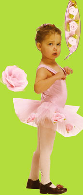 Pink Ballerina Dress w/Roses