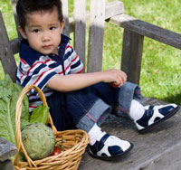 See Kai Run Spencer Shoe