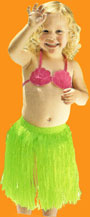Hula top and Grass skirt se