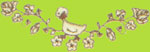 Vitamins Embroidered Ducking and Flowers