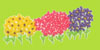 Young Colors Pastel Patchwork Embroidered Flowers