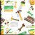 Amis Tools