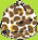 Zutano Leopard Beanie