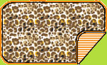 Zutano Leopard - Orange Candy Stripe Blanket