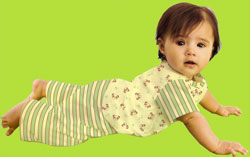 i-play Green Sprouts Organic Bamboo Shirt Sage Panda and Sage Stripe Pant