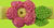 Hair Clip by Mom's Little Sweet Pea