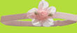 No Slippy Hair Clippy Pink Organza Baby Bow on Stretch Grosgrain Band