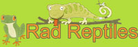 Rad Reptiles Group by Letop