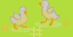 le top Ducks