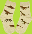Country Kids Khaki Real Dinosaurs Socks