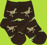 Kids Brown Dinosaur Socks