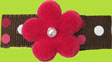 Moms Little Sweet Pea Brown Polka Dot with Fuchsia Felt Flower Snap Clip