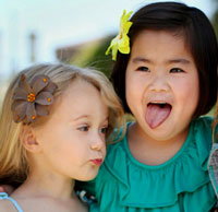 Brown Flower Hair Clip