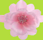 Pink Marci Large Flower on Stretch Headband for baby and child