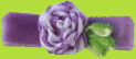 No Slippy Hair Clippy Kara Lavender Gingham Rose Flower Hair Clip for Baby and older