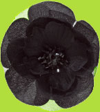 No Slippy Hair Clippy Ryan Black Silk/Organza Flower w/Beads