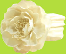 No Slippy Hair Clippy Organic Cotton Headwrap in Cream w/Large Cream Silk Flower
