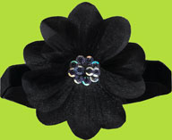 No Slippy Hair Clippy Black Sheer Petal Flower on Swiss Velvet Head Band