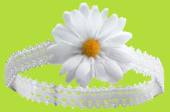 White Daisy on Stretch Lace Head Band