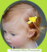 Chicken Hair Clip